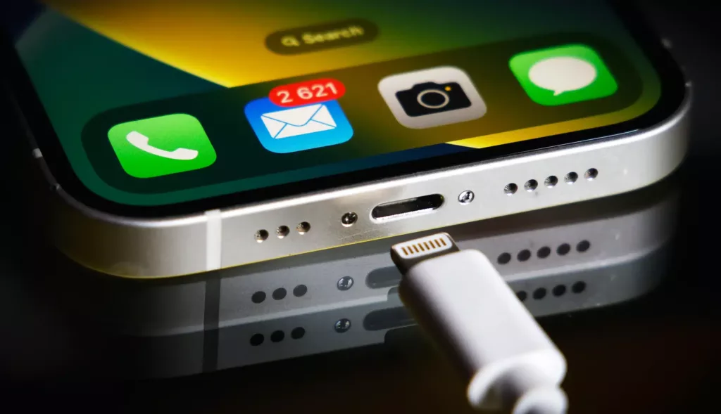 iPhone Lightning Charging Cable- Lightning Port
